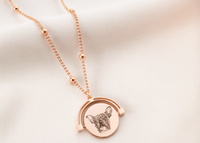 Top Zincirli Hayvan Yüzü Kolye