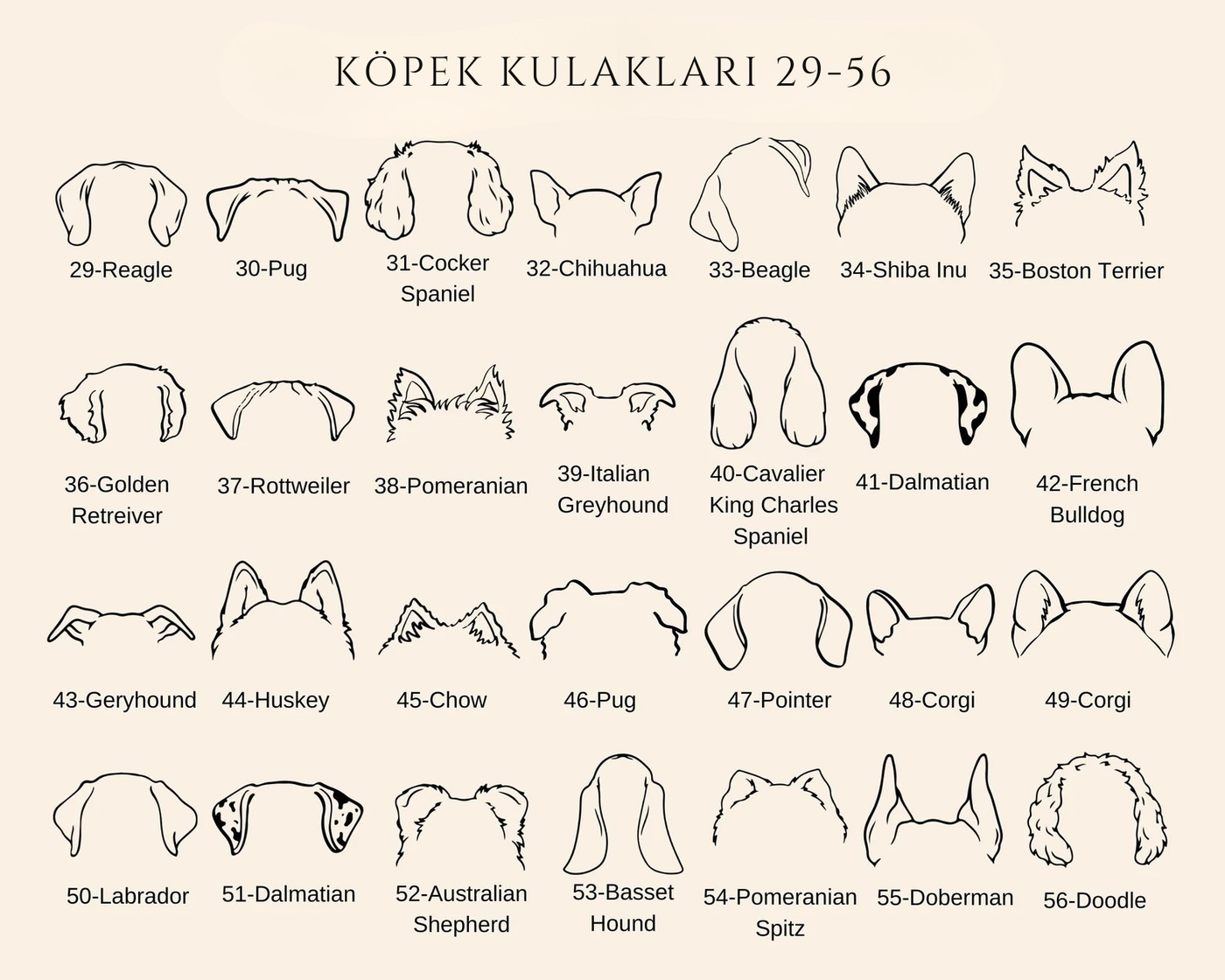 Köpek Kulaklı Kolye