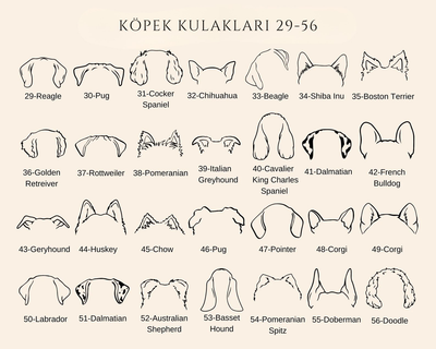 Köpek Kulaklı Kolye