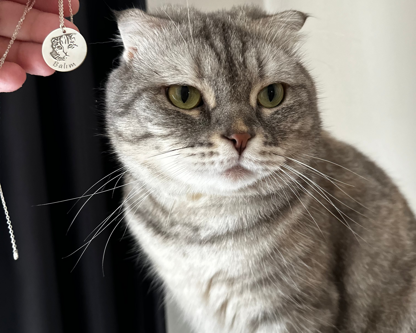 Özelleştirilebilir Pet Portre Kolye